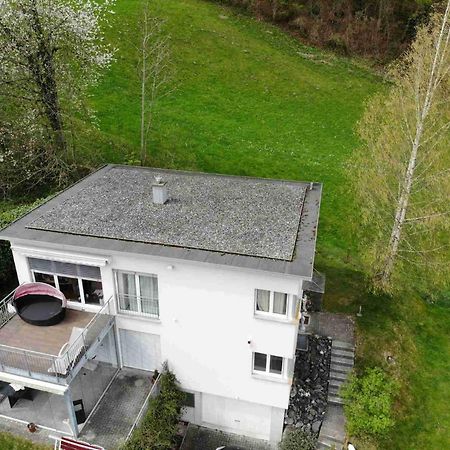 Alpen Panorama View Luxury House With Green Garden Buchs  Dış mekan fotoğraf